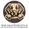 Golden Retriever Peeking Dog Clock – Personalized Dog Wall Clock Gift | DogPound Creations - DogPound Creations