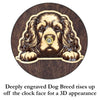 Spaniel Peeking Dog Clock – Personalized Dog Wall Clock Gift | DogPound Creations - DogPound Creations