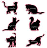 Cat • Kitty • Tabby • Himalayan - Key Ring Holder - DogPound Creations