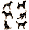 Italian Greyhound • Jack Russel • Labrador - Key / Leash Holder - DogPound Creations